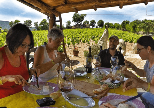 Domowy obiad w winnicy tylko dla Was !