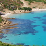 sardynia-asinara-wycieczki-przewodnik-rejsy