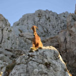 sardynia baronia montalbo trekking zachod slonca wycieczki siniscola