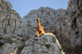 sardynia baronia montalbo trekking zachod slonca wycieczki siniscola