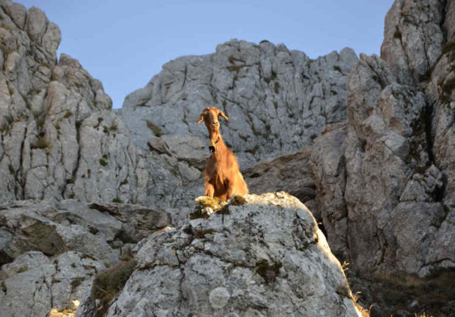 sardynia baronia montalbo trekking zachod slonca wycieczki siniscola