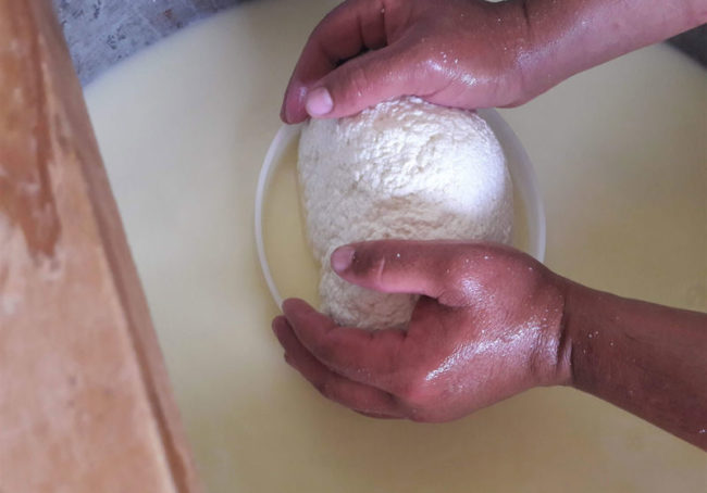 Pecorino prawie gotowy