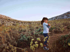 Mali podróżnicy na szlaku