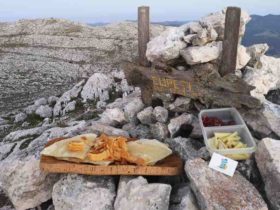 sardynia siniscola montalbo degustacja punta cupeti