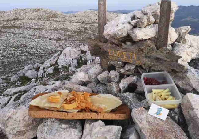 sardynia siniscola montalbo degustacja punta cupeti