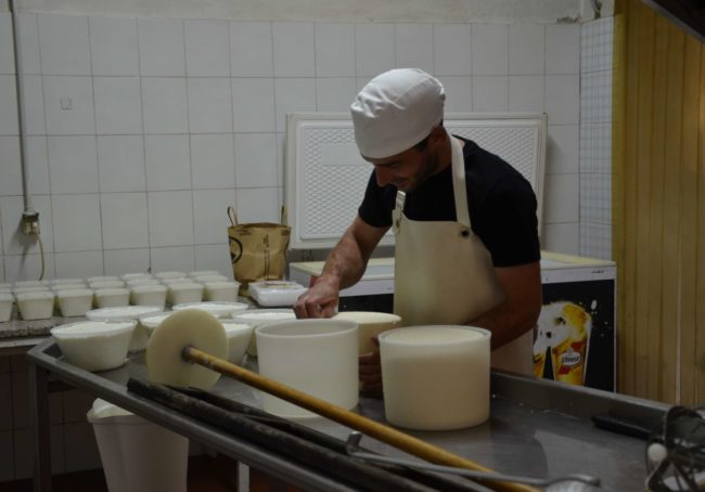 Mattia przy pracy w swojej mleczarni