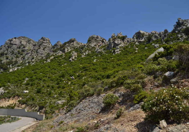 W drodze do sanktuarium-Monti Senes