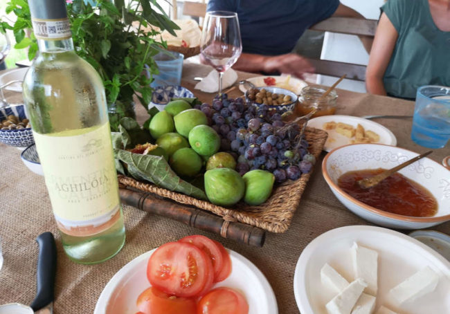 Degustacja w winnicy