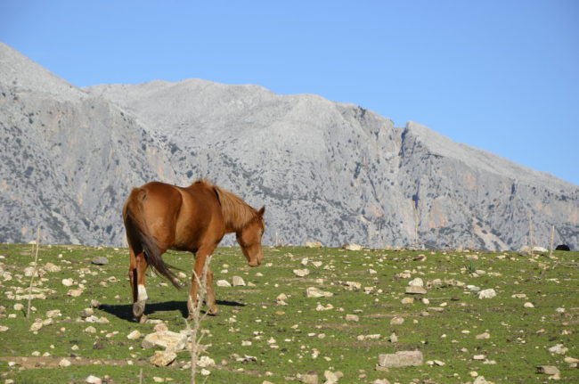 W drodze do sanktuarium nuragijskiego