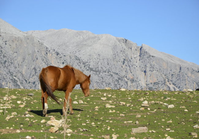 W drodze do sanktuarium nuragijskiego