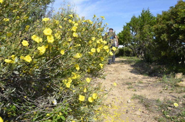 sardynia trekking latarnia morska capo comino wyceiczki