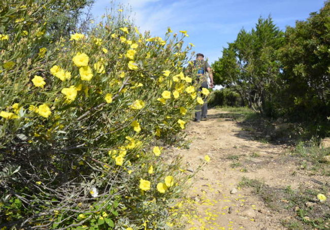 sardynia trekking latarnia morska capo comino wyceiczki