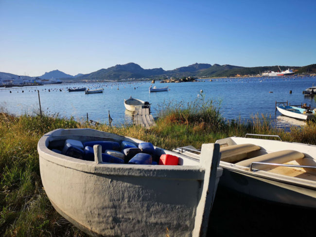 sardynia-olbia-port-moby-mule sardynia olbia port moby mule