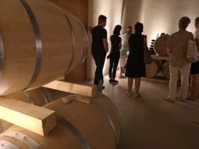 Wizyta w winnicy Tenute Olbios