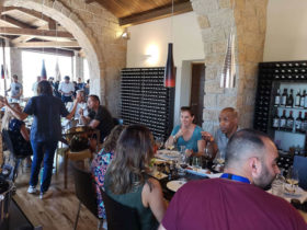 Degustacja 3 win i lokalnych produktów w winnicy