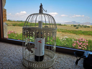 Winnica Tenute Olbios