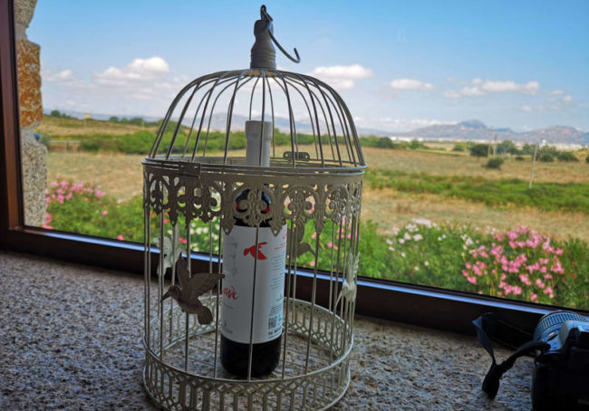 Winnica Tenute Olbios