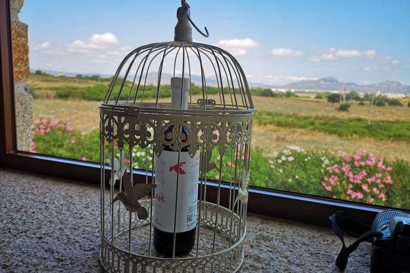 Winnica Tenute Olbios