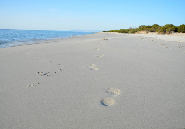 sardynia siniscola plaza berchida wycieczki best beaches